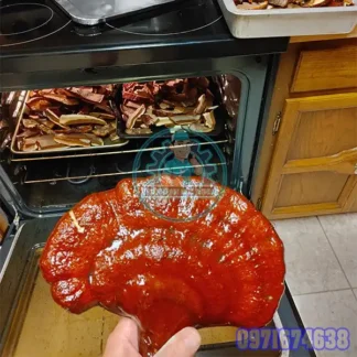 Máy Sấy Nấm Linh Chi Công Nghiệp | Phòng Sấy Dược Liệu 1–10 Tấn