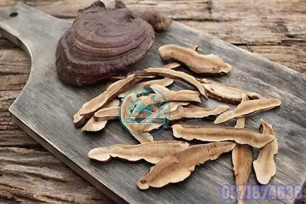 Máy Sấy Nấm Linh Chi Công Nghiệp | Phòng Sấy Dược Liệu 1–10 Tấn