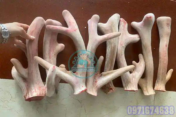 Máy Sấy Nhung Hươu Công Nghiệp | Phòng Sấy Kiểm Soát Nhiệt & Độ Ẩm