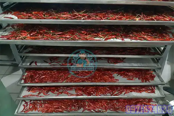 Máy Sấy Ớt Công Nghiệp | Phòng Sấy 1–10 Tấn