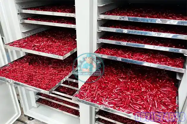 Máy Sấy Ớt Công Nghiệp | Phòng Sấy 1–10 Tấn Toàn Quốc