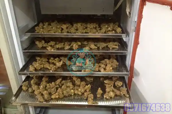 Máy Sấy Tam Thất Công Nghiệp | Phòng Sấy Kiểm Soát Nhiệt Độ & Độ Ẩm