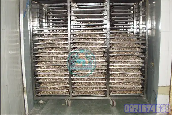 Máy Sấy Tam Thất Công Nghiệp | Phòng Sấy Kiểm Soát Nhiệt Độ & Độ Ẩm