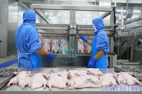 Máy Sấy Thịt Gà Khô Công Nghiệp | Thiết Kế Phòng Sấy Theo Yêu Cầu