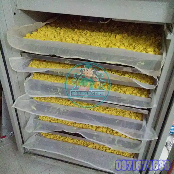 Máy Sấy Tinh Bột Nghệ Công Nghiệp | Phòng Sấy Kiểm Soát Độ Ẩm Máy Sấy Tinh Bột Nghệ Công Nghiệp | Phòng Sấy Kiểm Soát Độ Ẩm