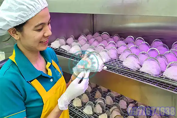 Giá máy sấy yến lạnh
