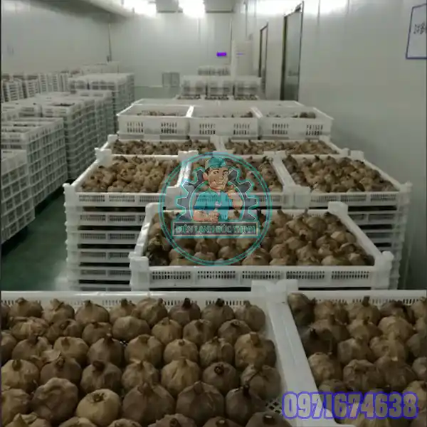 Máy Sấy Tỏi Công Nghiệp | Thi Công Phòng Sấy Trọn Gói Máy Sấy Tỏi Công Nghiệp | Thi Công Phòng Sấy Trọn Gói