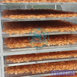 Máy Sấy Tôm Khô | Phòng Sấy Lạnh Tôm Công Nghiệp