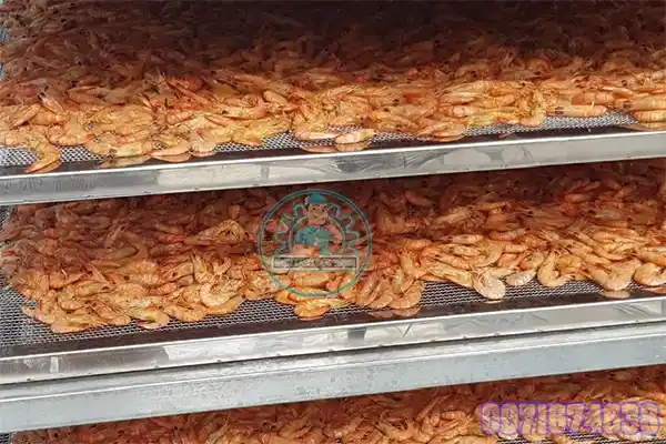 Máy sấy khô thực phẩm
