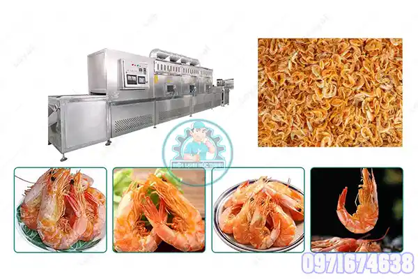 máy sấy Tôm công nghiệp
