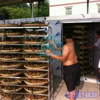 Máy Sấy Vải Thiều Công Nghiệp Phòng Sấy Vải Theo Yêu Cầu