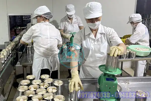 Vải sấy khô có tác dụng gì
