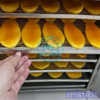 Máy Sấy Xoài Công Nghiệp Thi Công Thiết Kế Theo Yêu Cầu