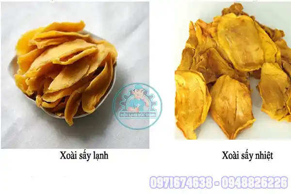 Máy Sấy Xoài Công Nghiệp Thi Công Thiết Kế Theo Yêu Cầu