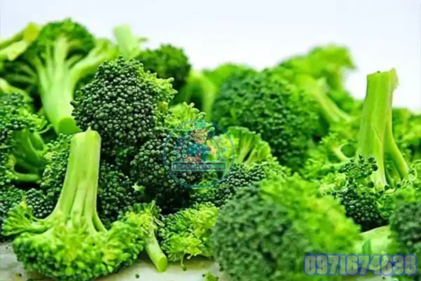 Máy Sấy Xúp Lơ Công Nghiệp | Thiết Kế Theo Yêu Cầu