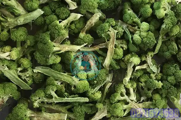 Máy Sấy Xúp Lơ Công Nghiệp | Thiết Kế Theo Yêu Cầu