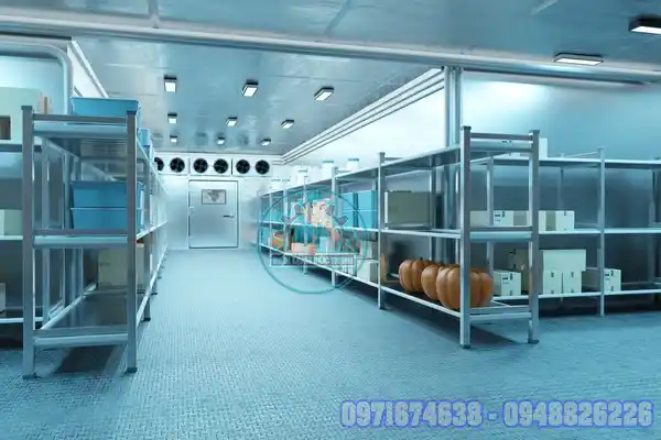 Sấy Nhiệt, Sấy Lạnh Có Mất Màu Không? Mẹo Giữ Màu Thực Phẩm