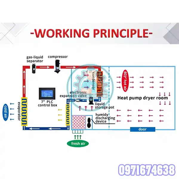 Sấy Nhiệt Và Sấy Đối Lưu – Khác Nhau Thế Nào Chọn Loại Nào