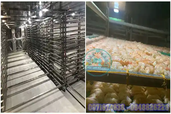 Thi Công – Thiết Kế Phòng Sấy Thủy Sản